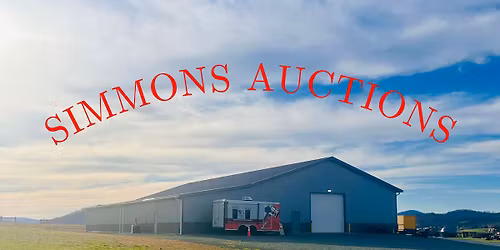 FIREARM, AMMO, TOOL & HOUSEHOLD AUCTION