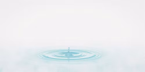 Quiet the Noise: Meditation for A Calm and Clear Mind