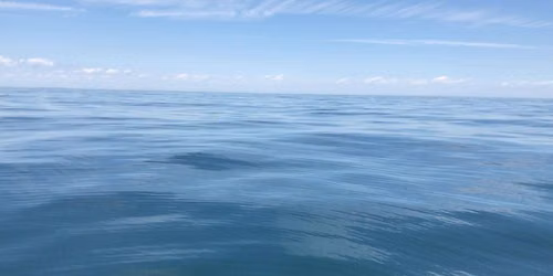Alexandria Bay