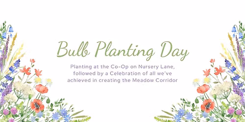 Bulb Planting at Nursery Lane Co-Op + Meadow Corridor Celebration