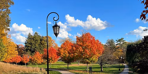 Parking The Music Man - Worcester