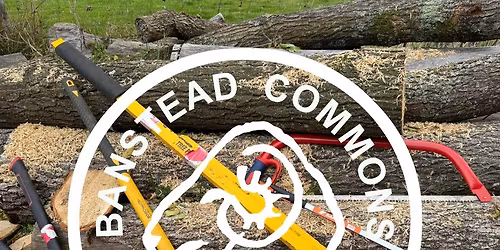 Practical Volunteer Task on Banstead Downs