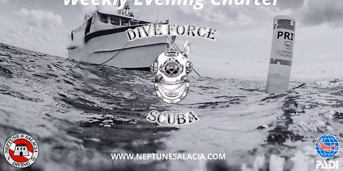 Thursday Evening Dives with Dive Force Scuba