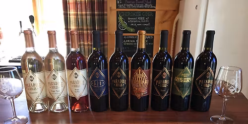 \ud83c\udf47 VIP Winery Tour: Sip, Stroll & Discover the Craft \ud83c\udf77