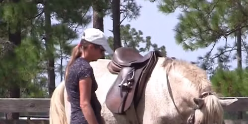 Biomechanics & Horsemanship with Classical Equine Solutions