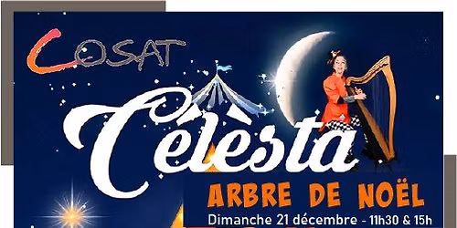 Arbre de No\u00ebl Cosat 