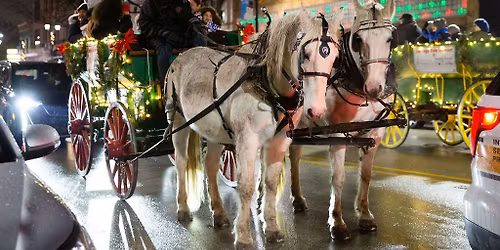 Forest Park Holiday Walk