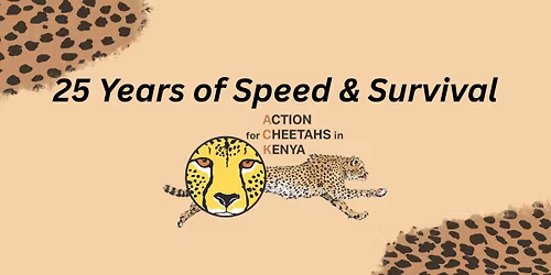 25 Years of Speed & Survival: A Cheetah Conservation Talk