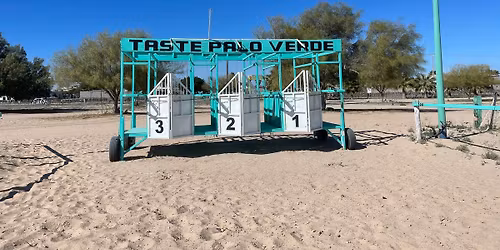 Carreras de caballos 