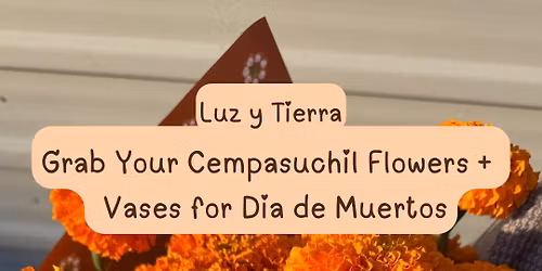 Grab Your Cempasuchil at Luz y Tierra!