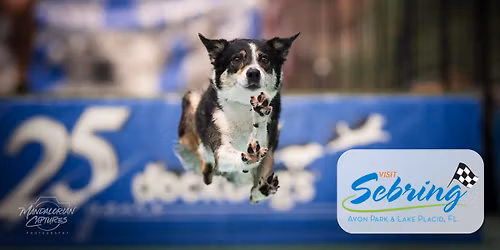 DockDogs\u00ae at the Sebring Soda Festival