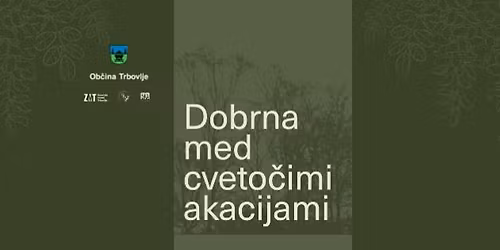 Dobrna med cveto\u010dimi akacijami