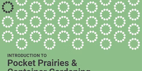 Introduction to Pocket Prairies & Container Gardening 