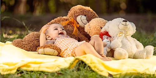 Teddy Bears Picnic