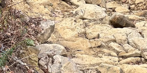 Steel City Broncos going to Southington Off-road Park