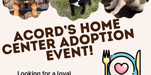 Acord's Home Center Adoption Event