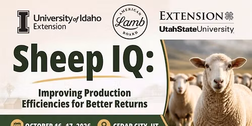 Sheep IQ: Improving Production Efficiencies for Better Returns