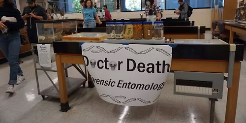 Dr. Death