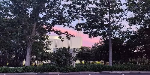 Come Follow Me for Single Adults