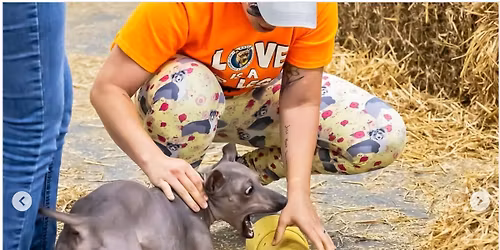 MDTC January Barn Hunt 2026