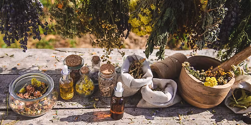 Oxymels, Tinctures & Yogurt