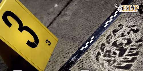 Cena con Delitto "a Pink Murder" - VR