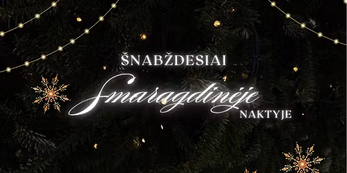\u2728 \u0160nab\u017edesiai smaragdin\u0117je naktyje \u2728