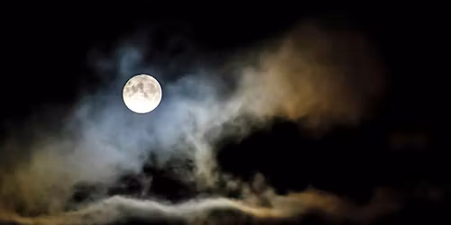 City Nature Challenge 2026: Torino - 25 aprile Parco Colonnetti