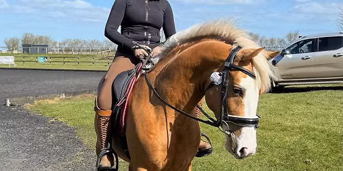 Saturday Stressless Dressage