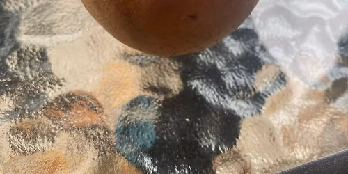 Sunday 16 Nov: Reviving the Orchard