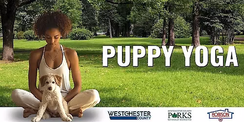 Puppy Yoga
