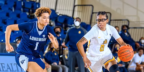 North Carolina A&T Aggies at Hampton Pirates Womens Basketball