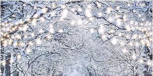 2026 Winter Wonderland Adult Prom