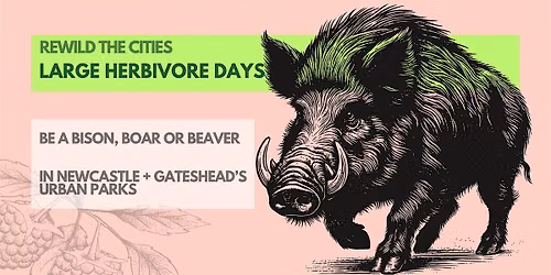 REWILD THE CITIES | Large Herbivore Day at Parish Ponds