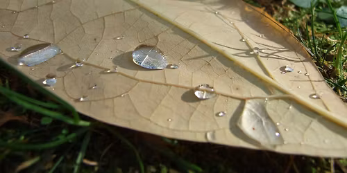 Dreamwork Introductory Workshop