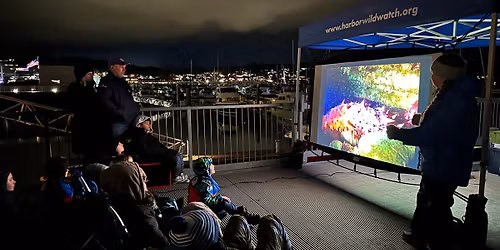 Pier Into the Night at Maritime Pier