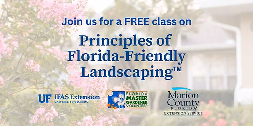 Florida-Friendly Landscaping