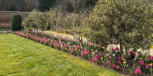National Garden Scheme: Lydiard Park Walled Garden