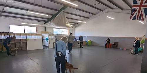 Ry's Play and Train (puppy course)