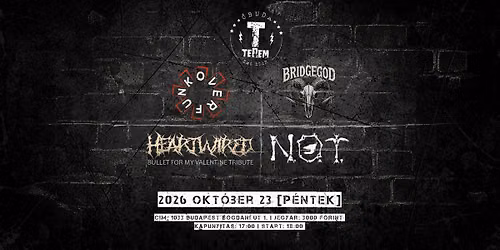 BridgeGod | N.O.T. | Overfunk | Heartwired \u2605 TEREM, \u00d3BUDA