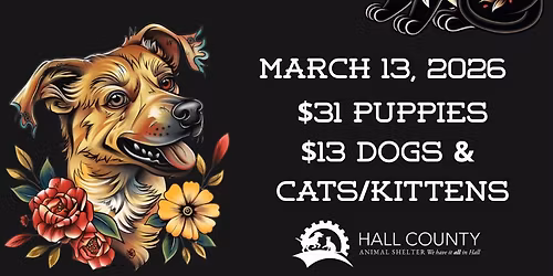 Friday the 13th Flash Adoptions