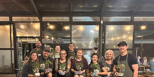 Dwarf Jade Bonsai Workshop, Niceville
