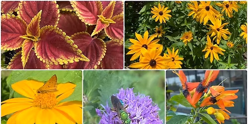 Polk County Plant and Garden Lovers Swap