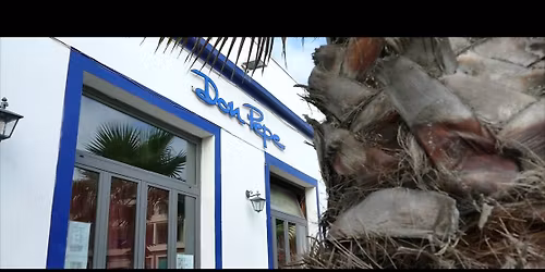 Halloween Rock Night \/\/ MOMO & The  Slobs Live