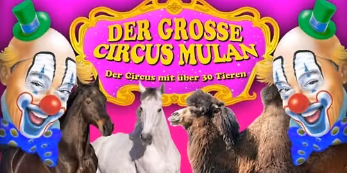 Winterzirkus Wetzlar- A\u00dflar