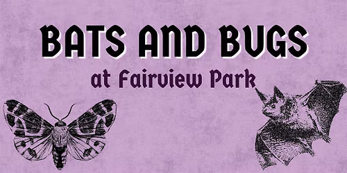Bats and Bugs at Fairview Park!