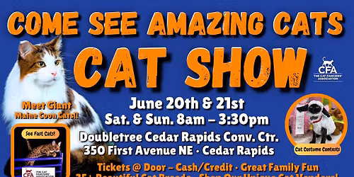 Come See Amazing Cats \ud83d\ude3b\u2764\ufe0f\ud83c\udf89 at the PURR-FECT CEDAR RAPIDS Cat Show & AGILITY Contest June 20-21!