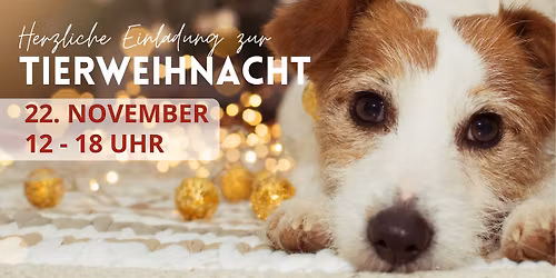 \ud83c\udf84 Einladung zur Tierweihnacht im Tierheim! \ud83c\udf84