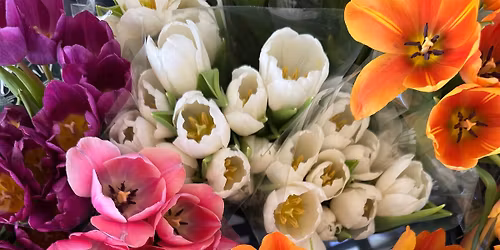 Pretty in Petals