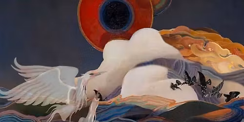 Paul Brill Solo Performance in Burlington, Vermont